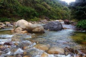 Include Puerto Vallarta’s Rivers in our Hearts on Valentines’ Day