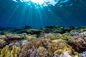 Bold “World Water Day” Action